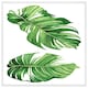 image 1 of Twin botanical leaves (Picture Frame) White | XL
