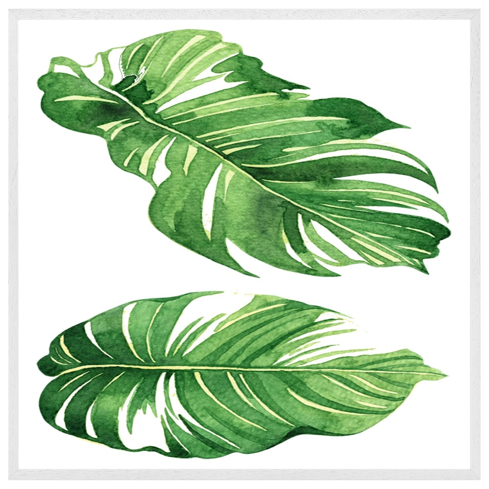 image 1 of Twin botanical leaves (Picture Frame) White | XL