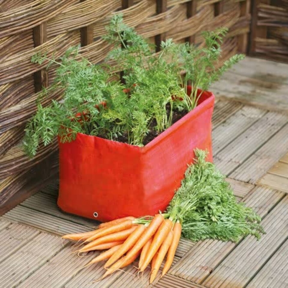 image 1 of Marshalls Garden Carrot Patio Planter Bags - Pair, Orange - 30 cm Deep