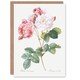 image 1 of Pierre-Joseph Redouté Art Card Vintage Pink Rosebush Flowers