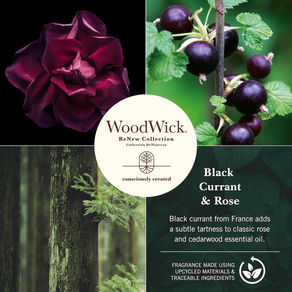 image 1 of WoodWick - Large Renew Candle - Black Currant & Rose