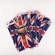image 5 of Polyester 20m Bunting King Charles III Portrait 48 Union Jack Flags Coronation | Multi