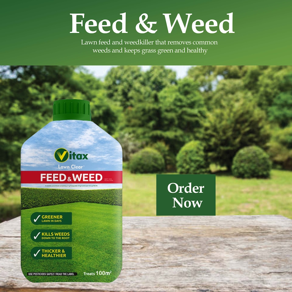 image 1 of Vitax Feed & Weed 500ml Lawn Fertiliser & Weed Control for Strong Healthy Lush Green Lawn with Dense Growth Covers 100 Square Metres