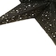 image 3 of Interiors by Premier 5 Point Black Paper Star