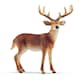 image 2 of Schleich White-Tailed Buck Figure