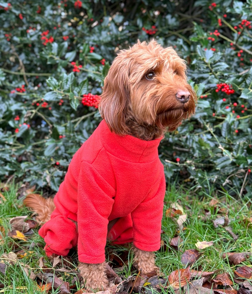 image 1 of Four Legged Dog Fleece - L / Coral | Red | L