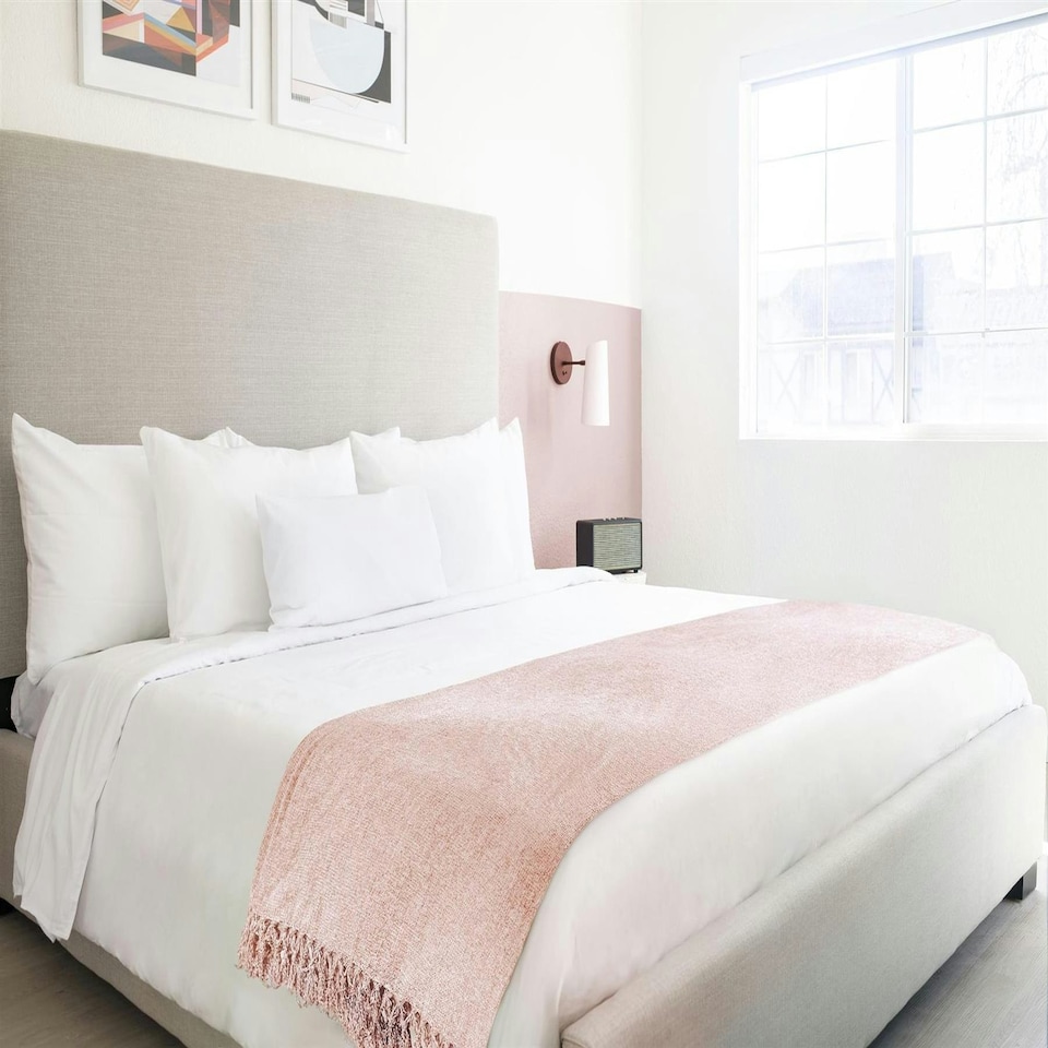image 1 of Darcy Tassel Blush  Blanket/Throw Pink | 150x200cm
