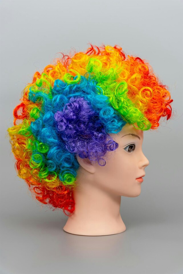 image 1 of Afro Wigs Curly Bouncy Hair Fancy Dress Party Costume Disco Accessory Unisex 60s 70S 80s Theme | Multi