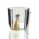 image 1 of Bettacare Extra Tall Pet Pen, Pentagon, Black, 105cm High, 5 Panels, 1x72cm Door Panel and 4x72cm Side Panels, Dog Pen for Pets Black