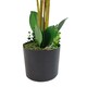 image 3 of Artificial Deluxe Bush Orchid White 85cm Bush Orchid Lots of Flowers Botanik