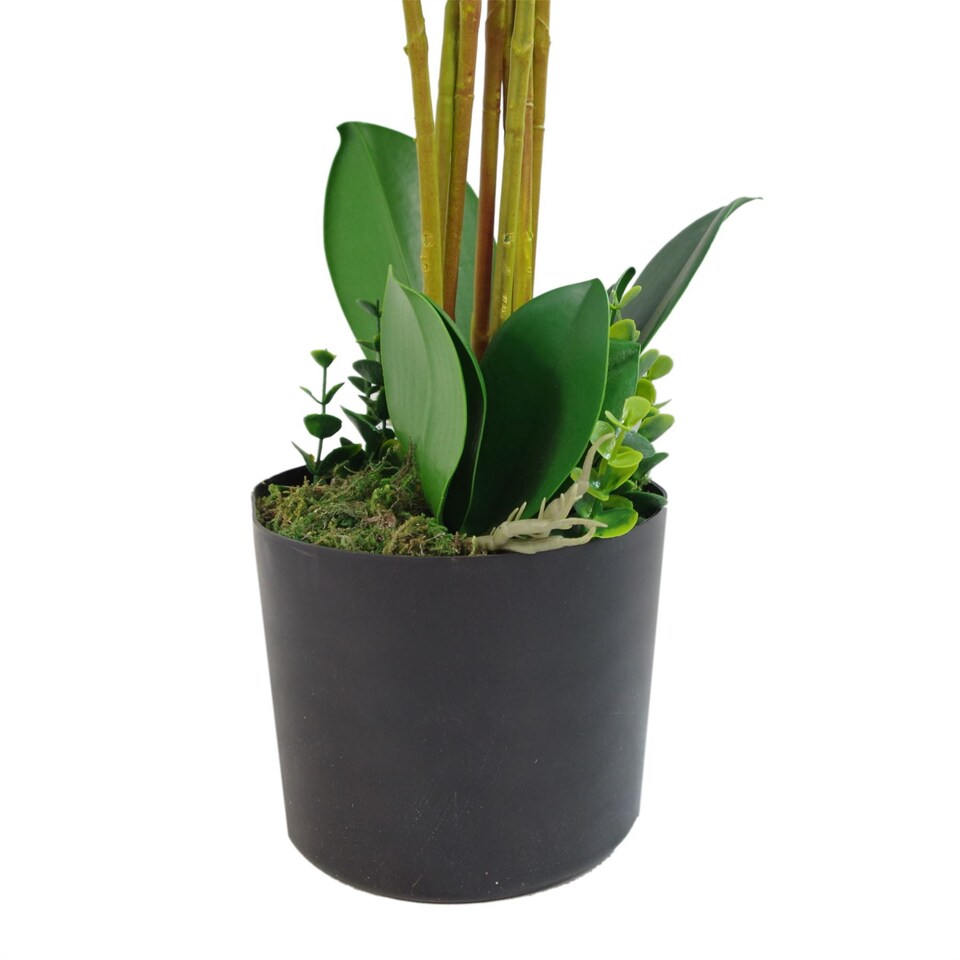image 1 of Artificial Deluxe Bush Orchid White 85cm Bush Orchid Lots of Flowers Botanik