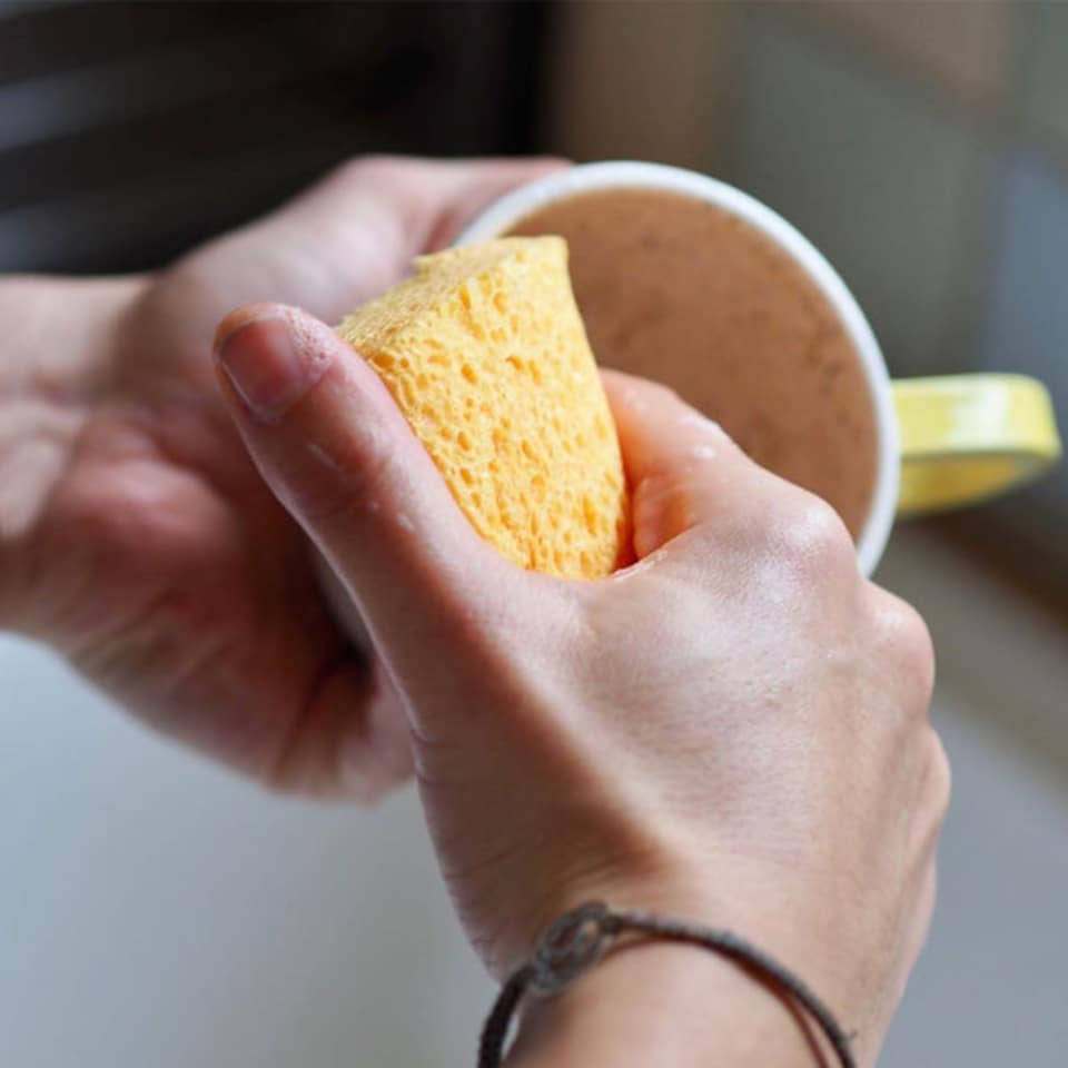 image 1 of Compostable Cellulose Sponges - Pack of 2