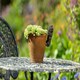 image 3 of Antique Bronze Coloured West Highland Terrier Pot Buddy Plant Pot Hanger