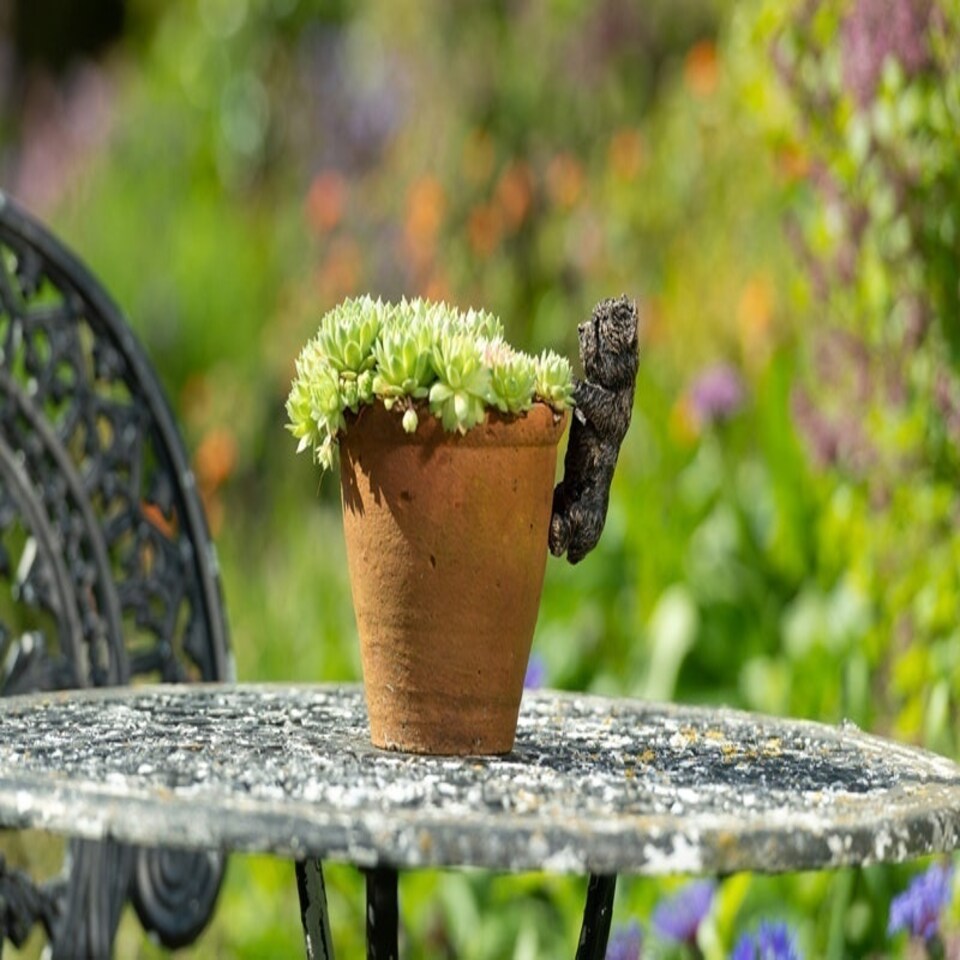 image 1 of Antique Bronze Coloured West Highland Terrier Pot Buddy Plant Pot Hanger