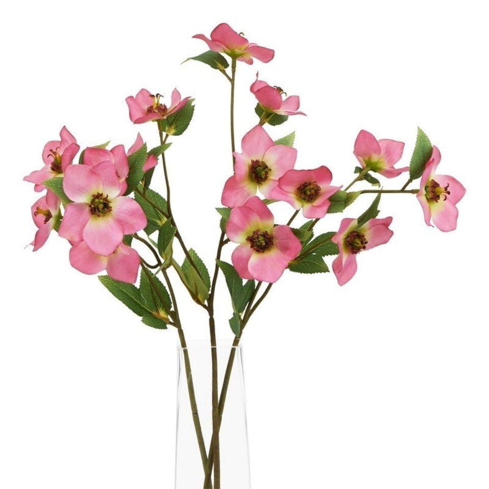 image 1 of The Natural Garden Collection Varigated Hellibore - Artificial Flower (Single Stem) - Plastic - H47 cm - Pink