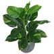 image 1 of Artificial Foliage Plant Pot Devils Ivy 60cm Plants