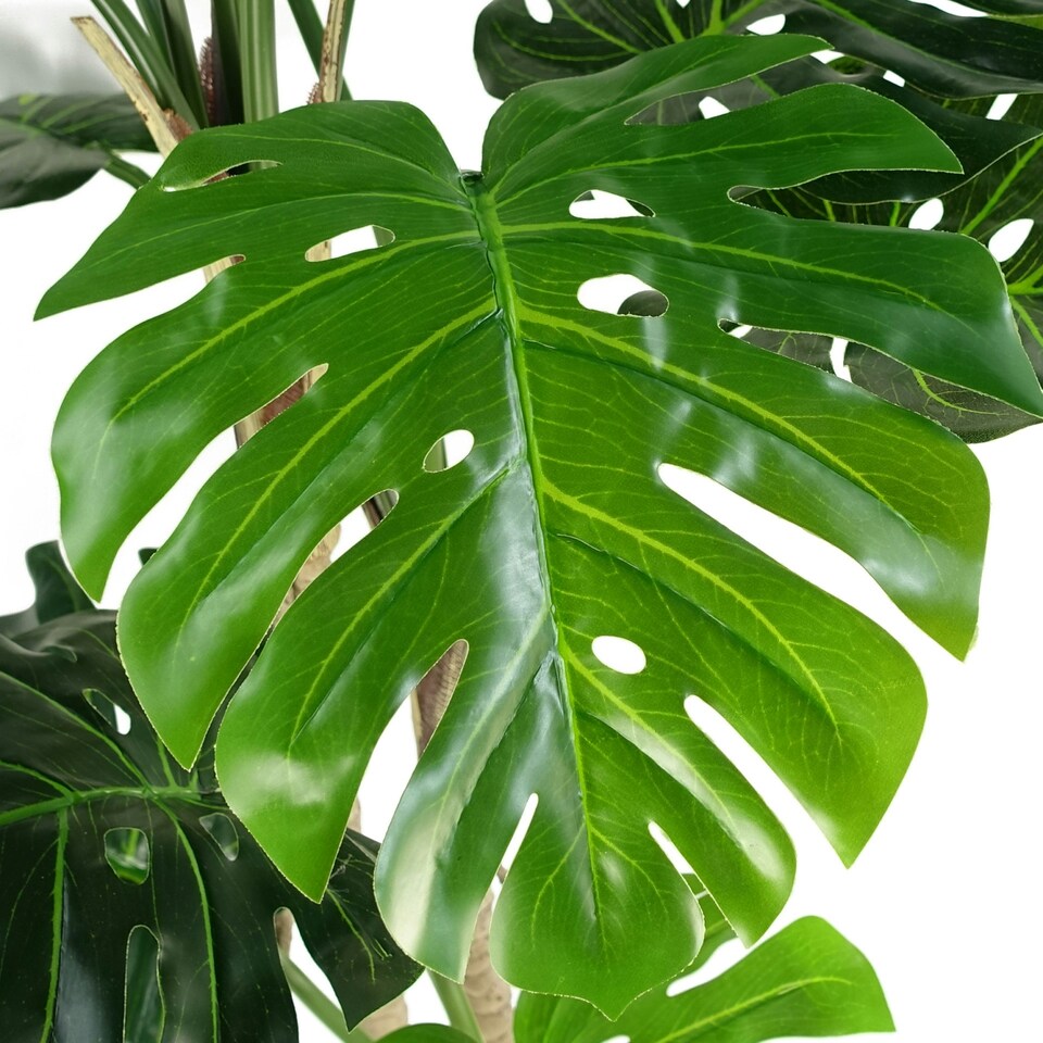 image 1 of Artificial Monstera Plant 150cm Luxury Cheese Plant 5ft Tall Botanik