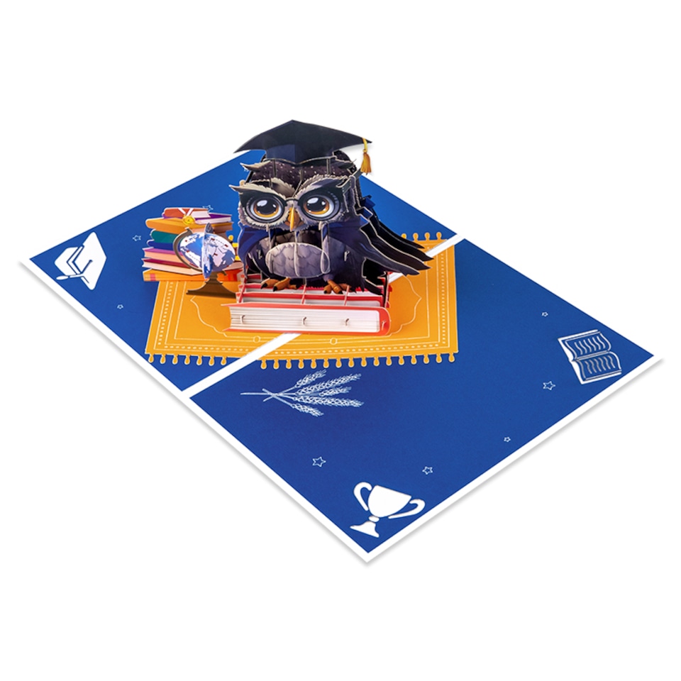 image 1 of Owl Celebration Scene 3D Pop Up Graduation Congratulations Card