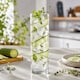 image 5 of 370ml Tall Pub Cocktail Glasses Highball Tumblers Clear Glass Set of 6