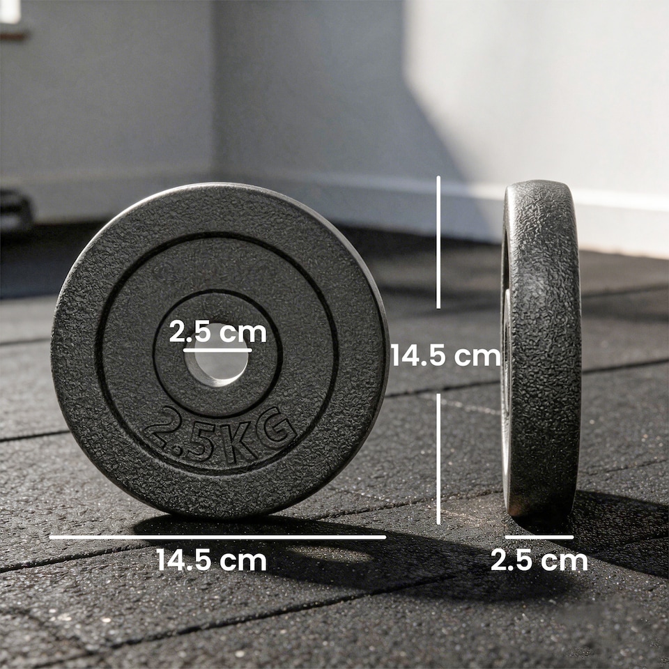 image 1 of SPORTNOW Weight Plates Set, 1"/2.5cm Weight Disc Pair, 4 x 2.5kg