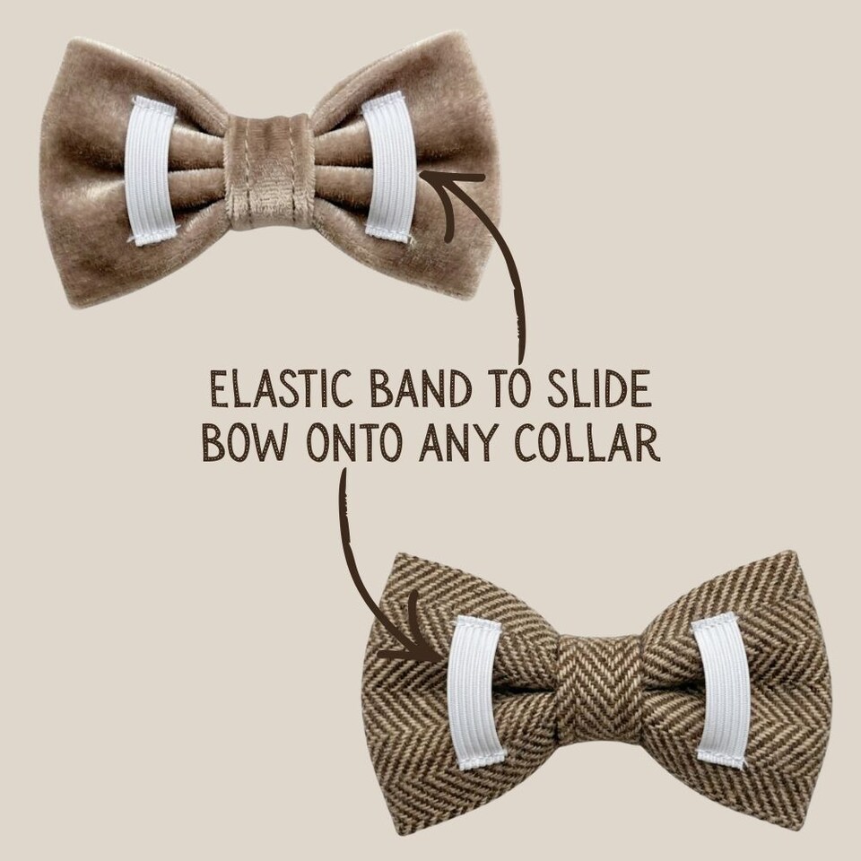 image 1 of Tails of Glory Brown Tweed and Velvet Bow Set