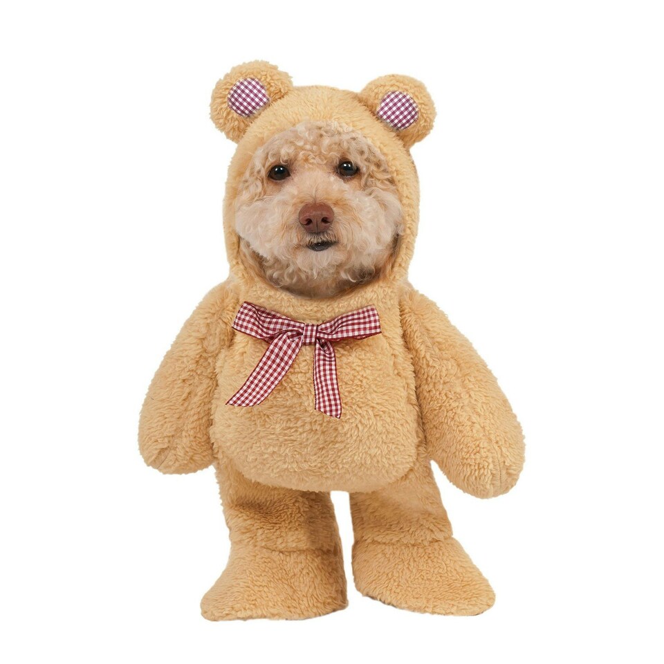 Bristol Novelty Teddy Bear Walking Dog Costume - Brown - XS