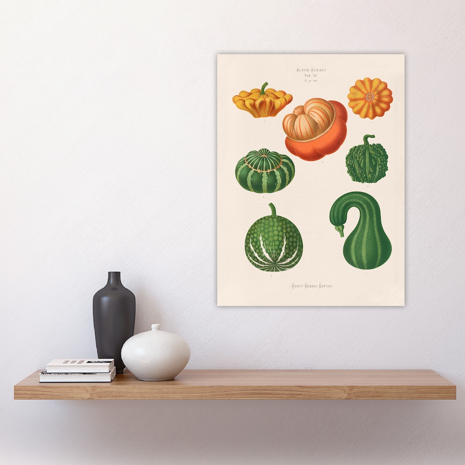 image 1 of Ornamental Gourds Kitchen Decor Ernst Benary Huge Wall Art Print 18X24 In