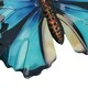 image 6 of Medium Metal Blue Butterfly Wall Art Garden/Home Ornament 21.5 X 33.5CM
