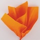 image 1 of Orange Acid Free Tissue Paper 10 Sheets