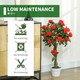 image 8 of Outsunny Set of 2 90cm Artificial Rose Tree, Fake Decorative Plant, Red