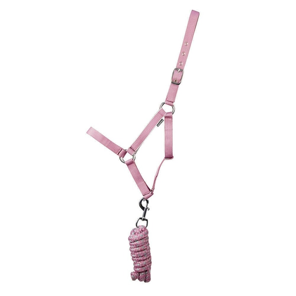 image 1 of Hy Synergy Horse Headcollar - Grape/Silver - Pony