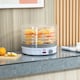 image 2 of HOMCOM 5 Tier Food Dehydrator for Drying Fruit Meat Vegetable Jerky Pet Treat