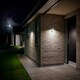 image 6 of Rica Round | Wall | Solar Multi | Solar
