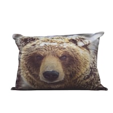 Big Bear Cushion Cover with Cusion Pads (43x43 cm) Multi Multi