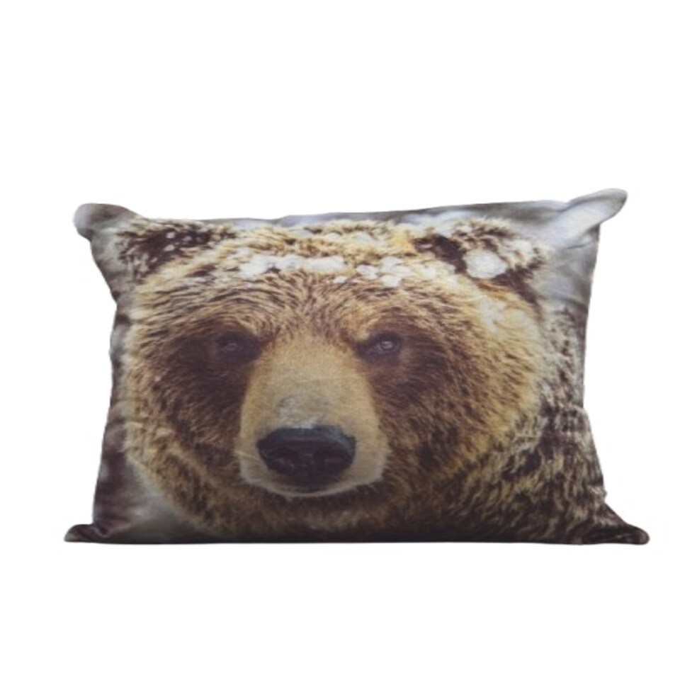 image 1 of Big Bear Cushion Cover with Cusion Pads (43x43 cm) Multi Multi