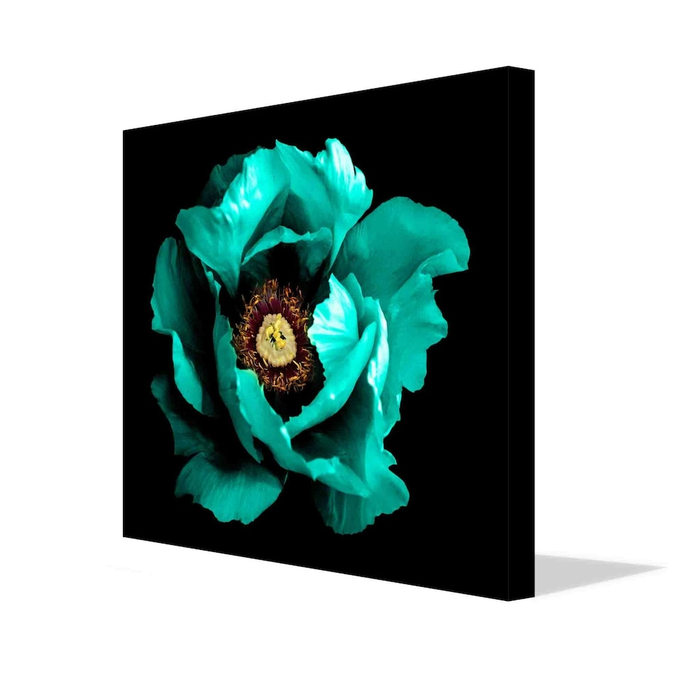 image 1 of Surreal dark, chrome, cyan, peony flower (Canvas Print) 91cm x 91cm