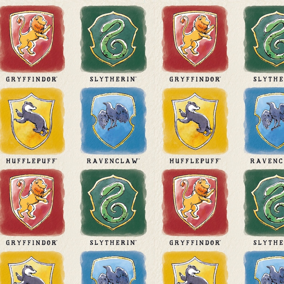 image 1 of Harry Potter 2 Sheets & 2 Tags Gift Wrap