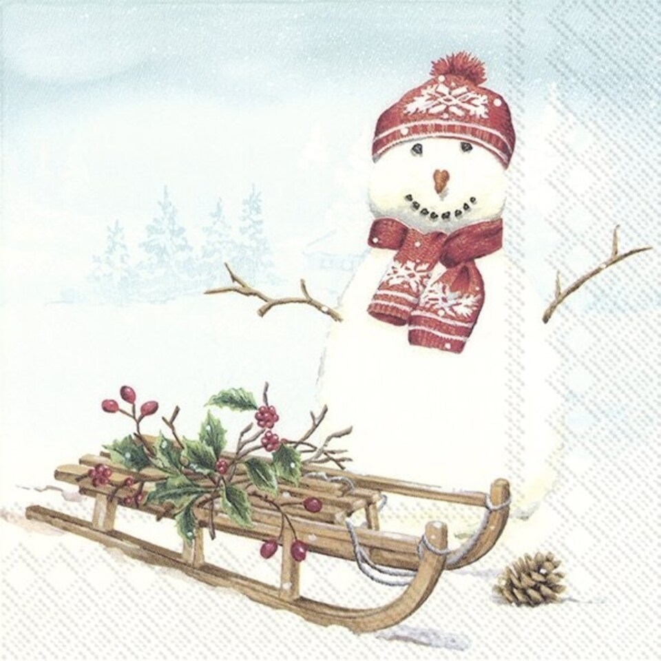 IHR  Frank Snowman Cocktail Napkin 25cm 3ply 20 Pack