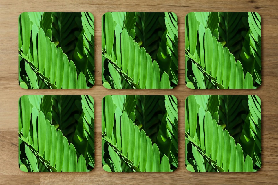 image 1 of Natural dark green leaves, long slender green leaves (Placemat & Coaster Set)