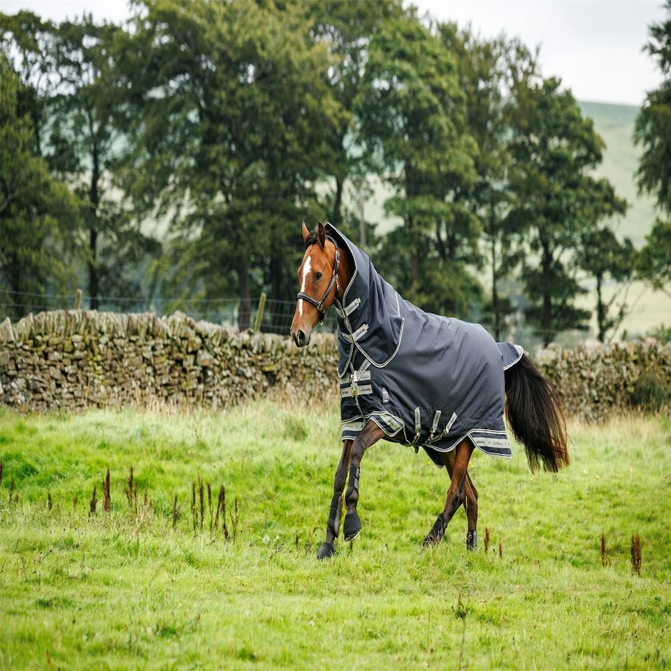 image 1 of LeMieux Arika Storm-Tek Rug 100g Blue | 5ft 0