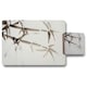 image 1 of Japanese painting of bamboo (Placemat & Coaster Set)