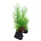 image 3 of Natural Look Aquatic Aquarium Fish Tank Deco Plant Rock Ceratopteris