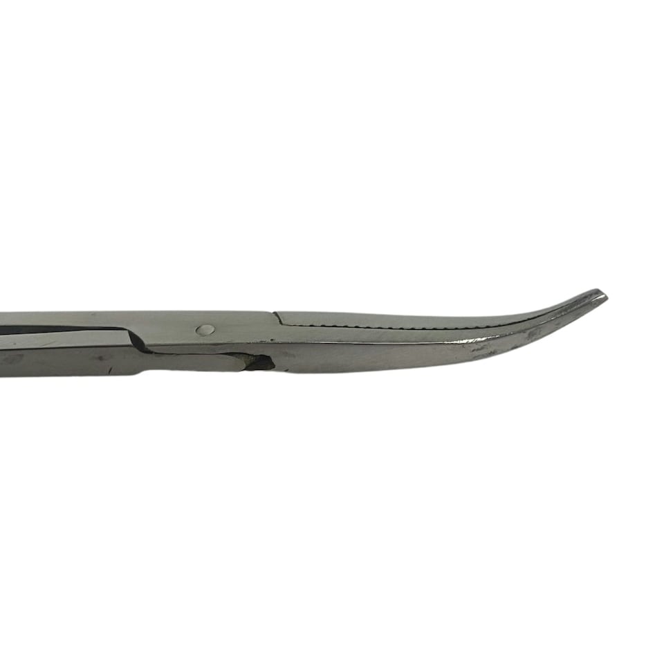 image 1 of NGT 10" Curved Stainless Steel Fishing Forceps - Angling Equipment