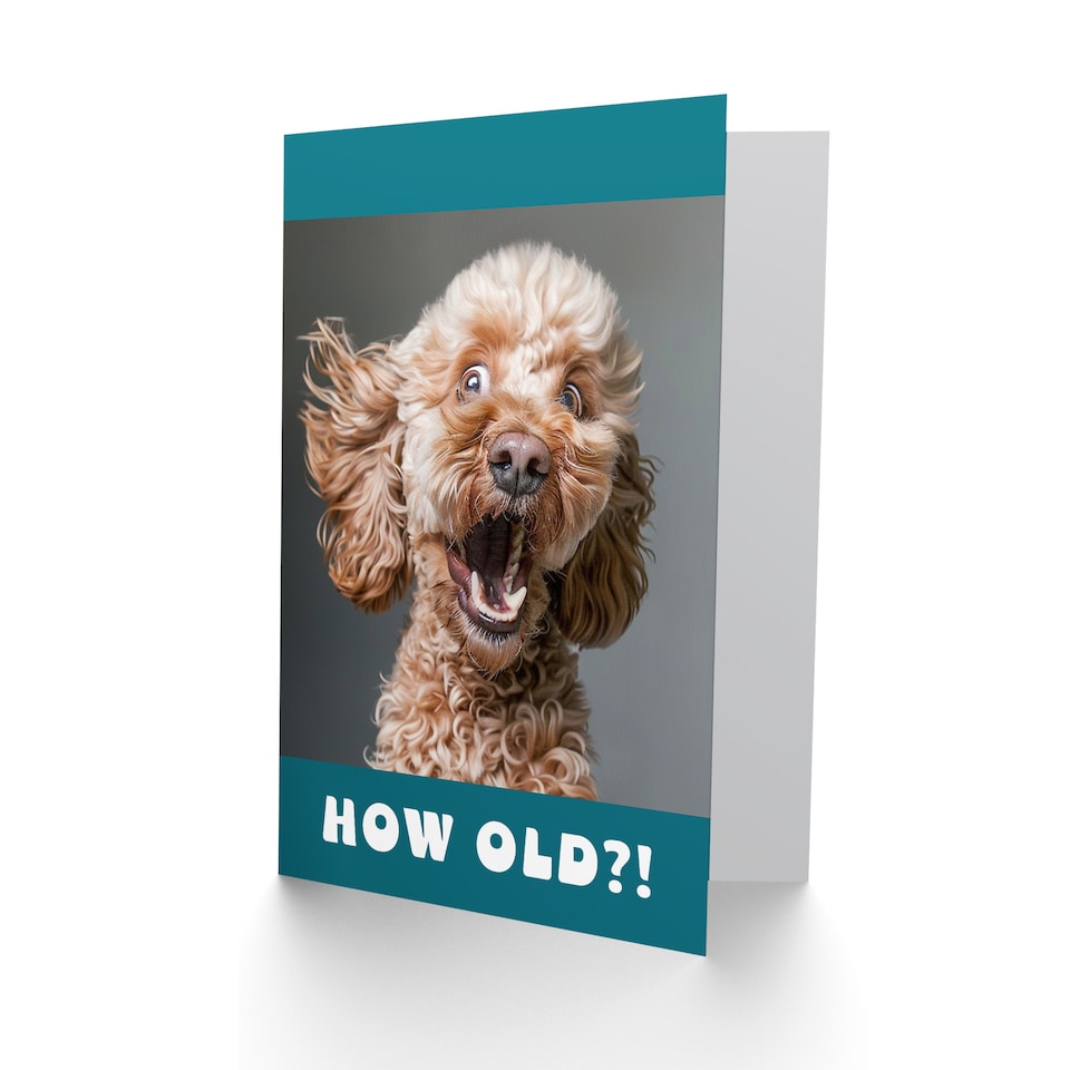 image 1 of Birthday Card Surprised Cockapoo Dog Photo How Old Funny Joke Cheeky