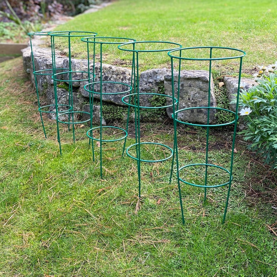 image 1 of Conical Metal Garden Herbaceous Plant Support Rings (48cm) - Pack of 5