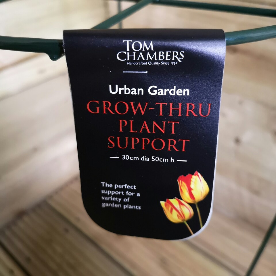 image 1 of Pack of 3 Tom Chambers Urban Dark Green Metal Herbaceous Garden Plant Support Grow Through Medium 50cm x 30cm