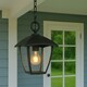 image 3 of CGC VIOLET Black Outdoor Chain Hanging Lantern Light Black