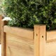 image 4 of Primrose Wooden Tapered Pine Cube Planter Garden Flower Pot 55cm