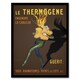 image 1 of Le Thermogene French Advert Vintage Framed Wall Art Print Cappiello 12x16"