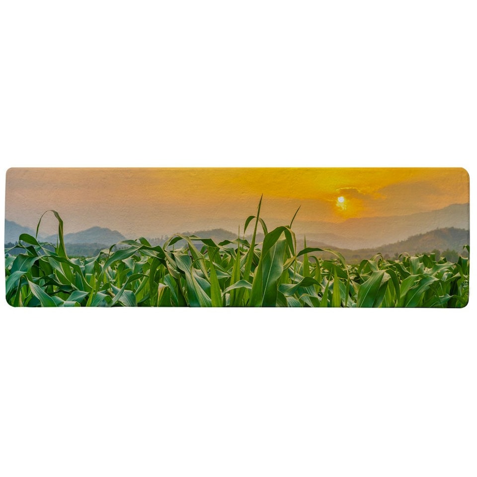 image 1 of green corn field in agricultural garden and light shines sunset Designer (Runner Rug)